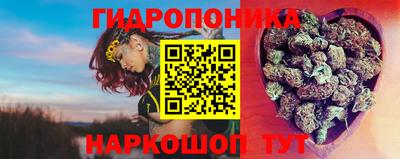 индика Апшеронск