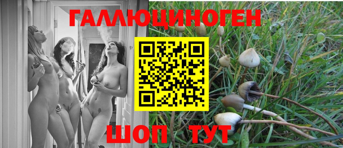 Псилоцибиновые грибы прущие грибы Борисоглебск